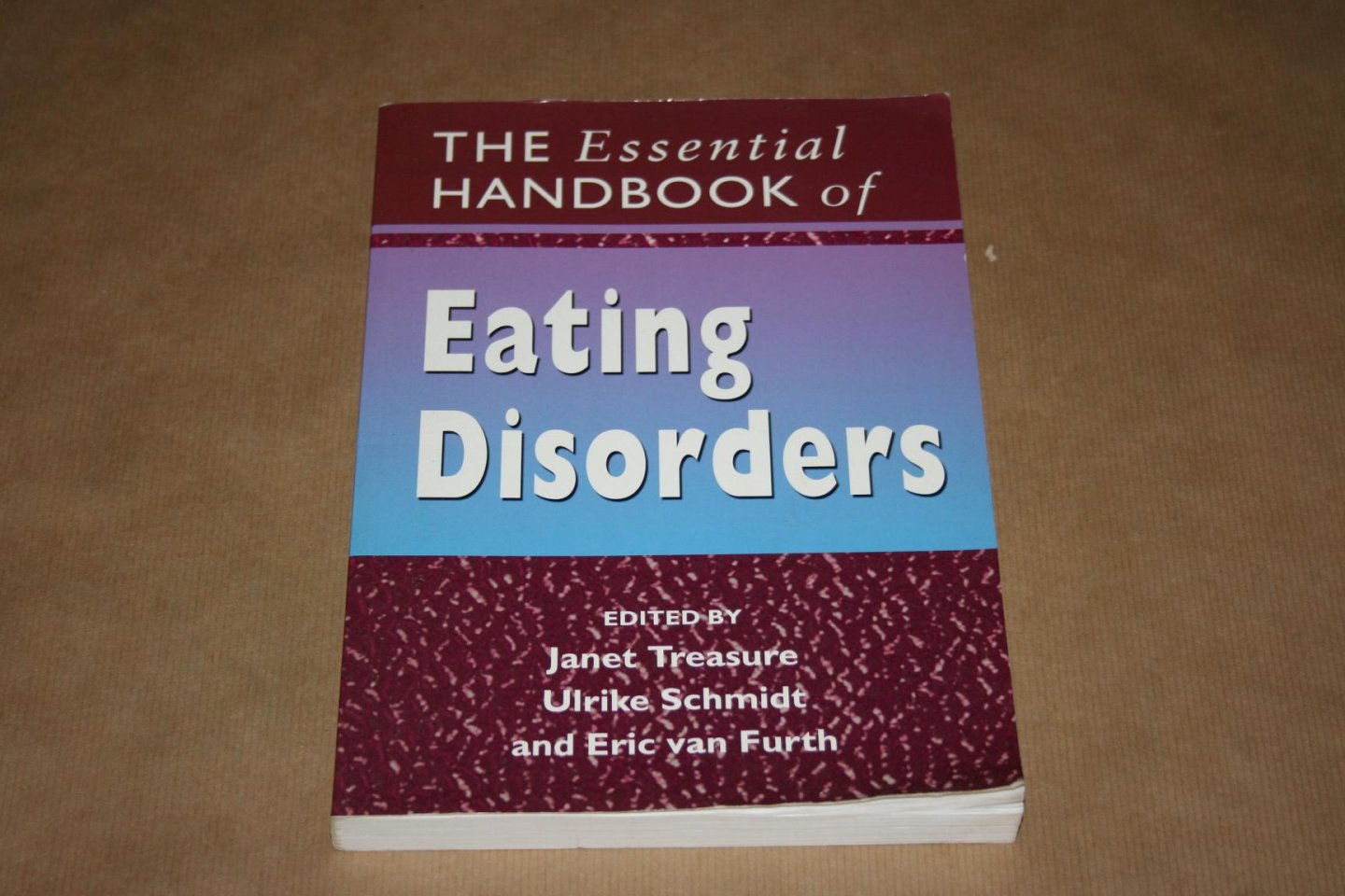 Treasure, Schmidt & van Furth - The essential Handbook of Eating Disorders