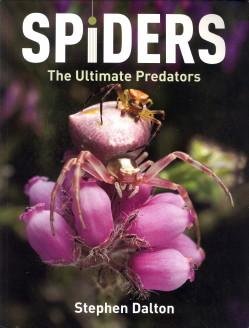 DALTON, STEPHEN - Spiders. The ultimate predators