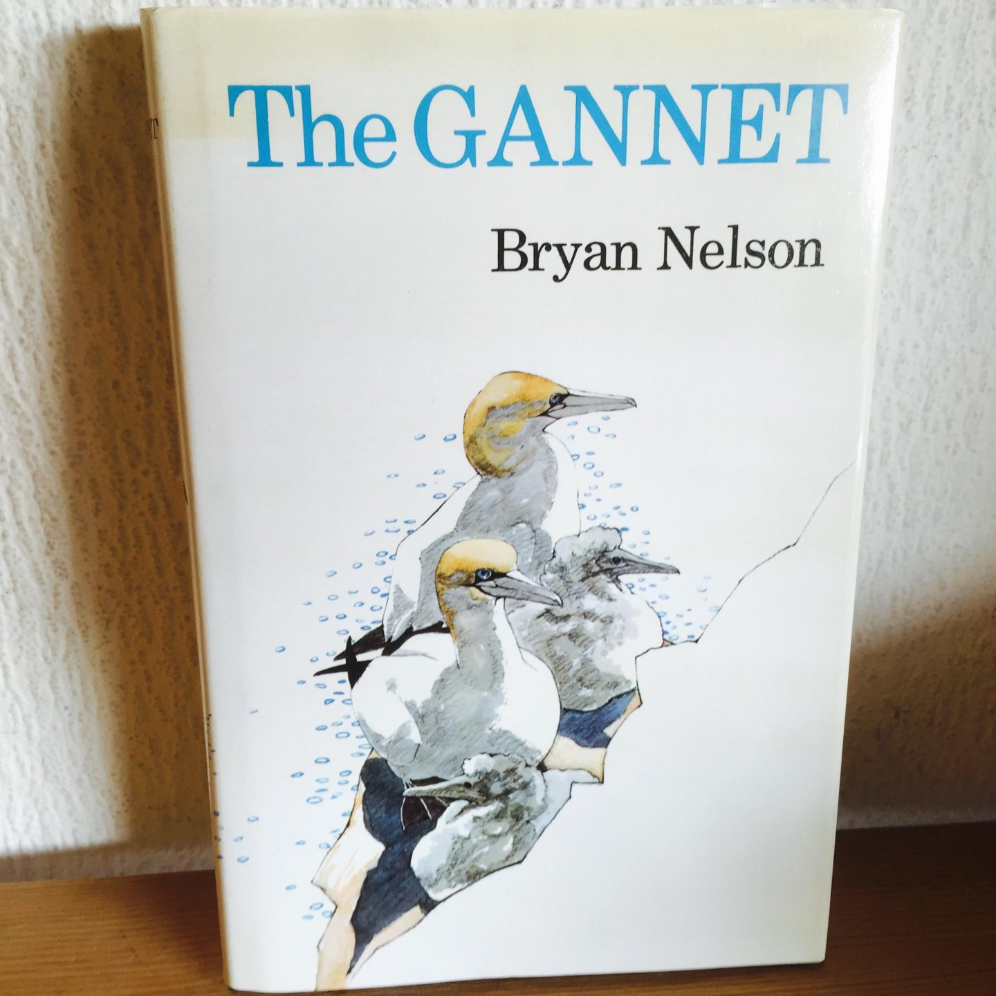 Bryan Nelson - THE GANNET