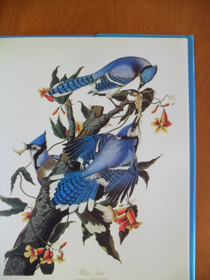 Clement Roland C. - The Living World of Audubon