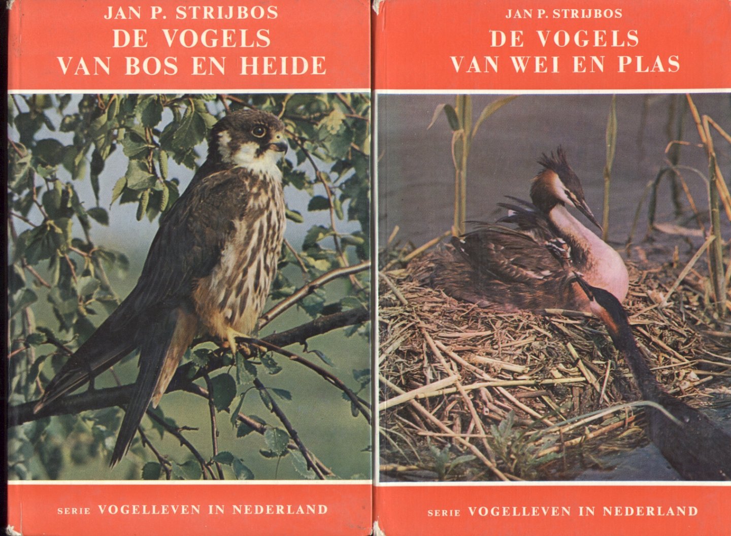 Strijbos, Jan - Serie Vogelleven in Nederland (4 delen: zie Extra)