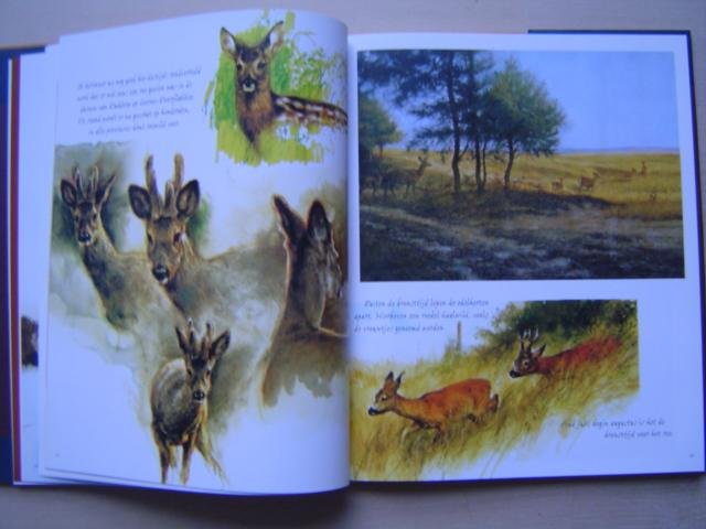 Poortvliet  Rien - Dieren in de natuur