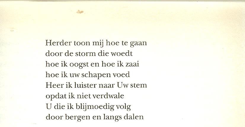 MacFall, Lynne  .. Vertaald door Peter Out - Bevroren Waanzin