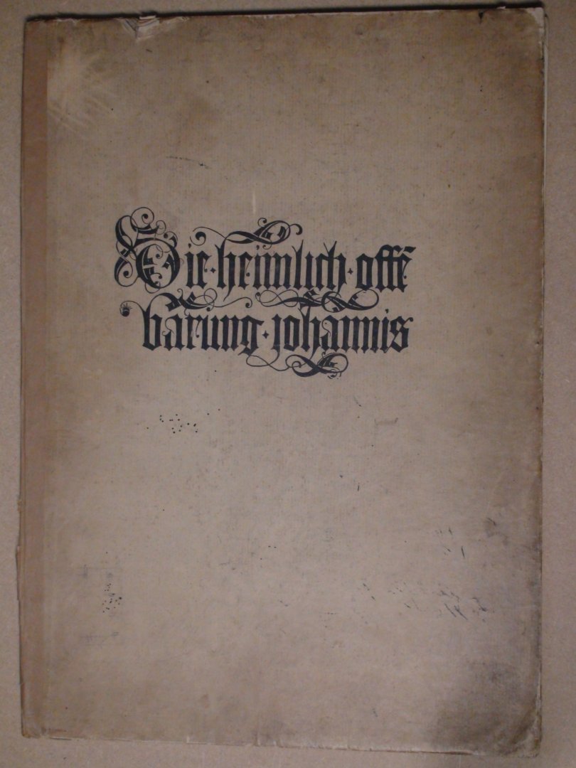 Sepp, Prof.Dr. J.A. - Die geheime Offenbarung Johannis. 15 Vollbilder nach den Handzeichnungen Albrecht Dürer's und gleichzeitigem Text nach der Strassburger Ausgabe von Martin Graeff 1502