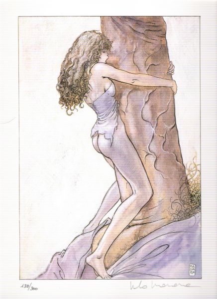 manara - gulliveriana