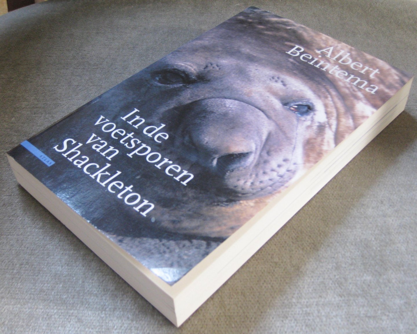 Beintema, Albert - In de voetsporen van Shackleton