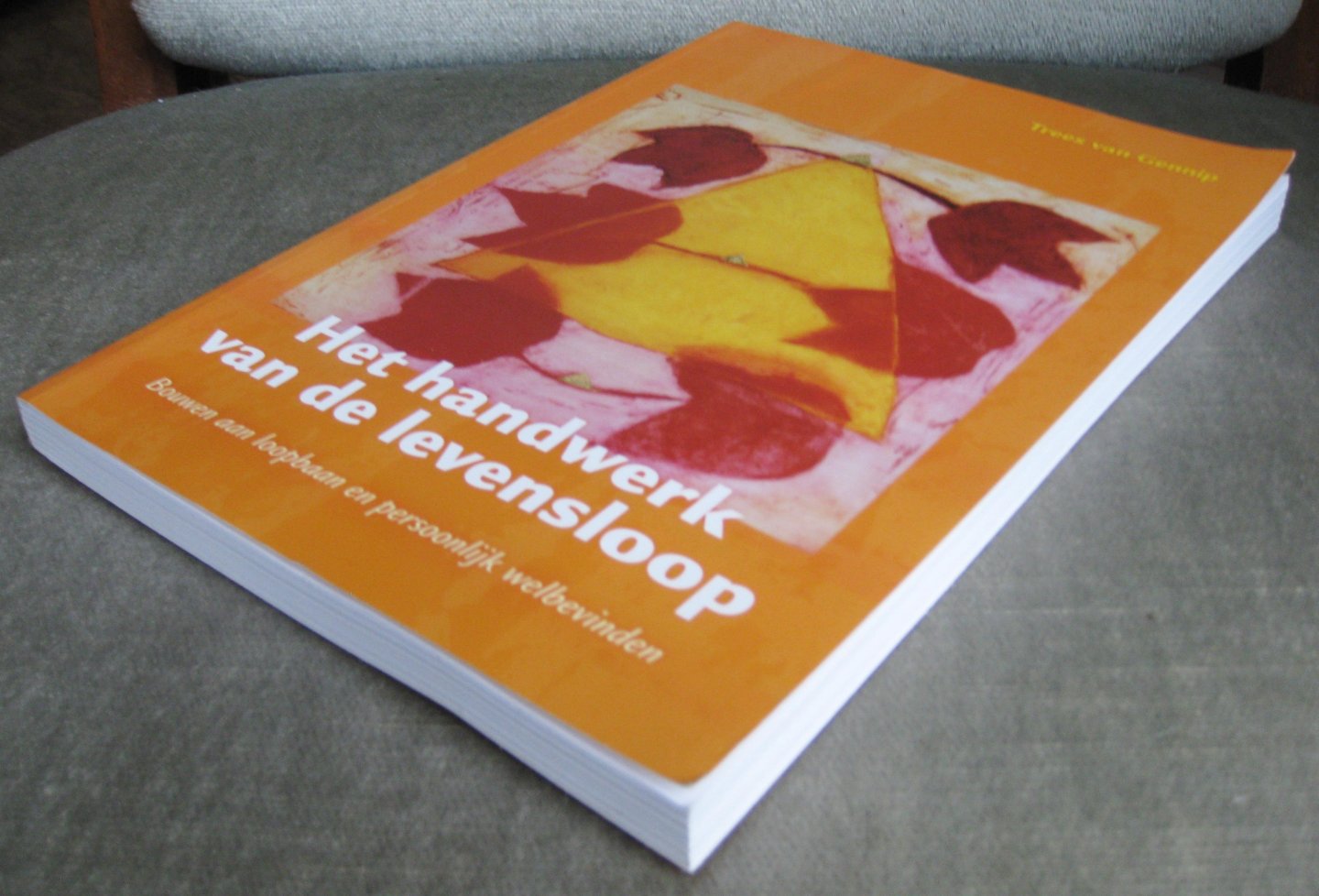 Gennip, Trees van - Het handwerk van de levensloop -   bouwen aan loopbaan en persoonlijk welbevinden