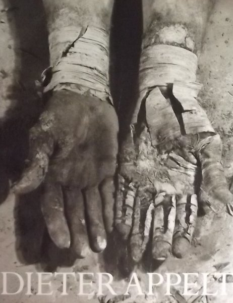 Wolf, Sylvia. / Schmied, Wieland, / Appelt, Dieter. - Dieter Appelt.