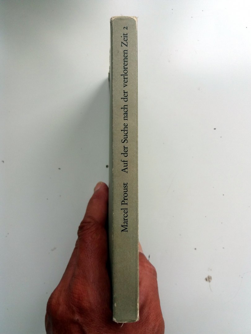 Proust, Marcel - In Swanns Welt 2 (DUITSTALIG)