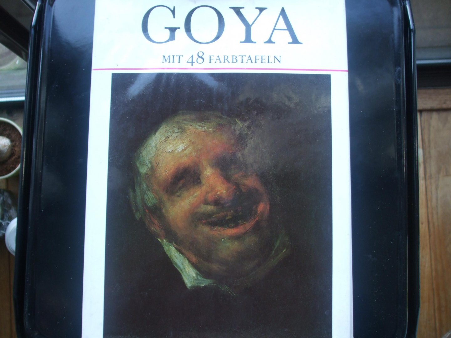 Enriqueta Harris - GOYA