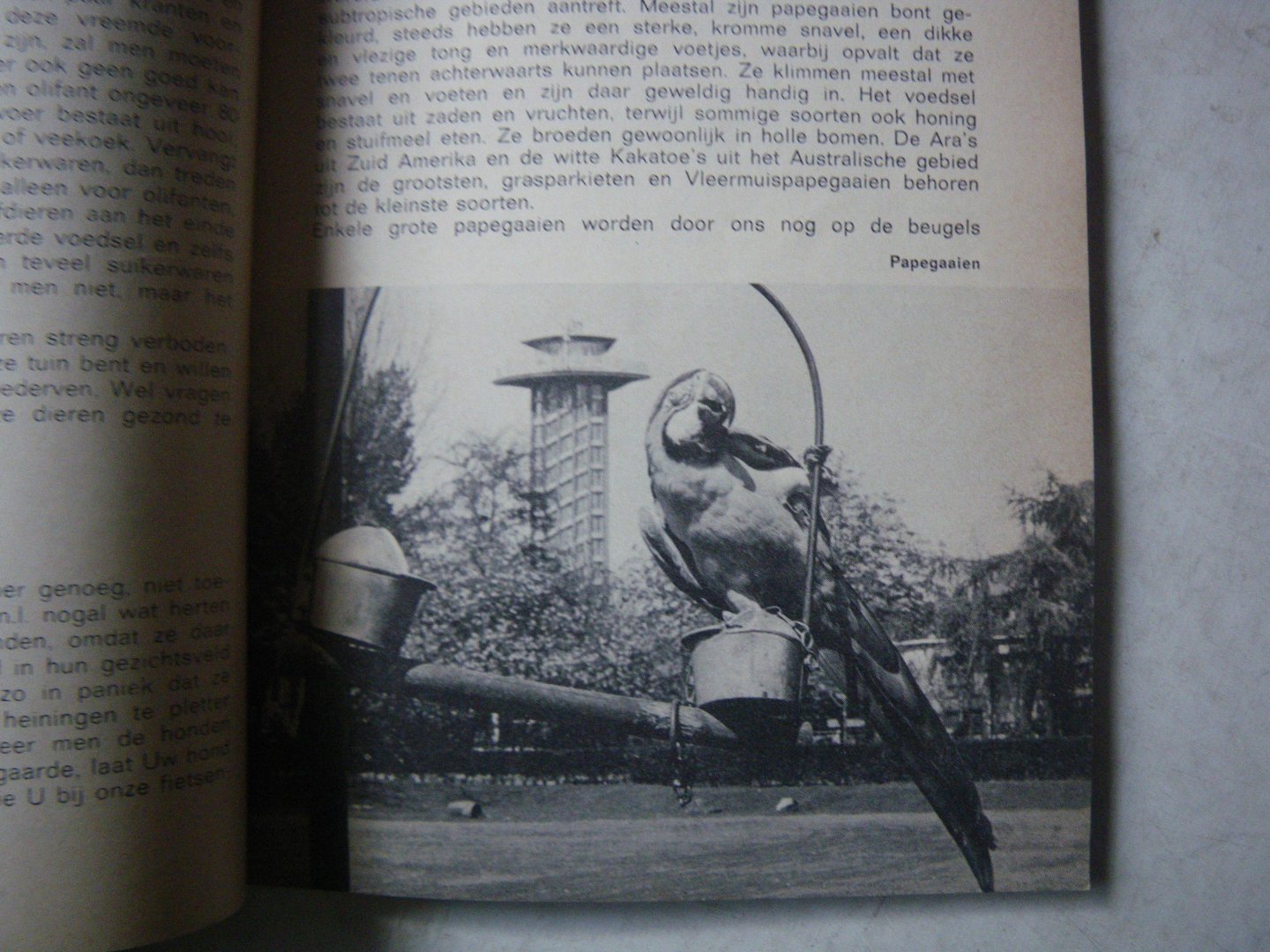 Bemmel A.C.V. van , Zwieten K. van - Zoo Blijdorp Gids en plattegrond