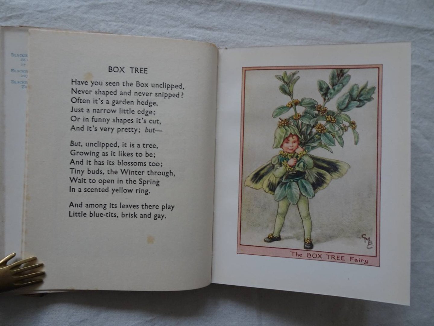 Barker, Cicely Mary. - Flower Fairies of the Trees.