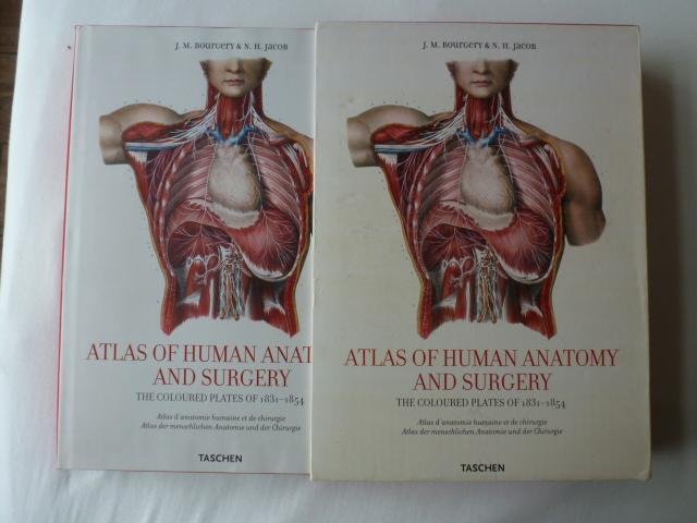 Bourgery, J. M. - Atlas of Human Anatomy and Surgery / The Complete Coloured Plates of 1831-1854