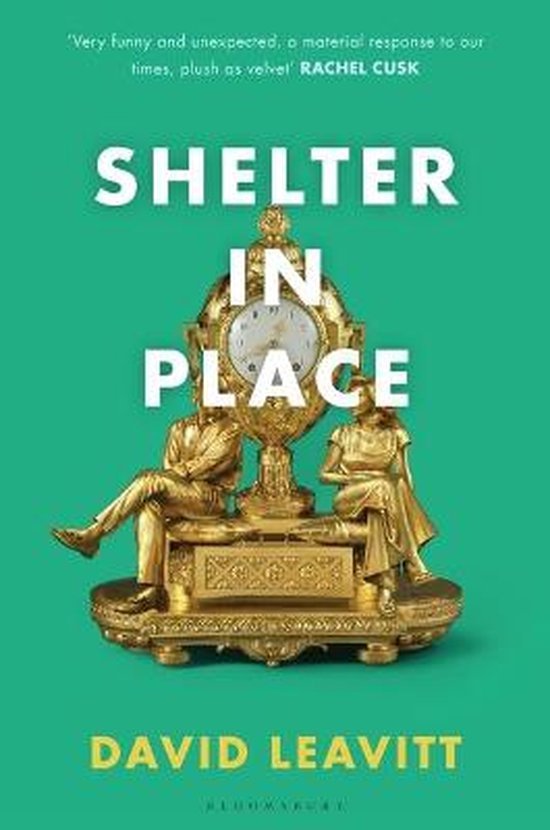 Leavitt, David - Shelter in Place