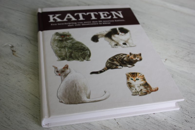 Pintera, Albert - Katten, een beschrijving van meer dan 90 soorten katten met vele ill. in kleur.