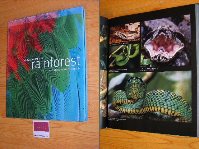 Marent, Thomas - Rainforest. A photographic journey