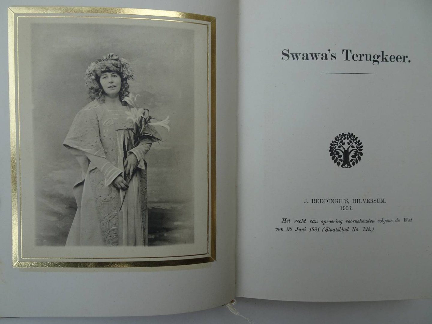Grothe-Twiss, Amy. - Swawa's Terugkeer.