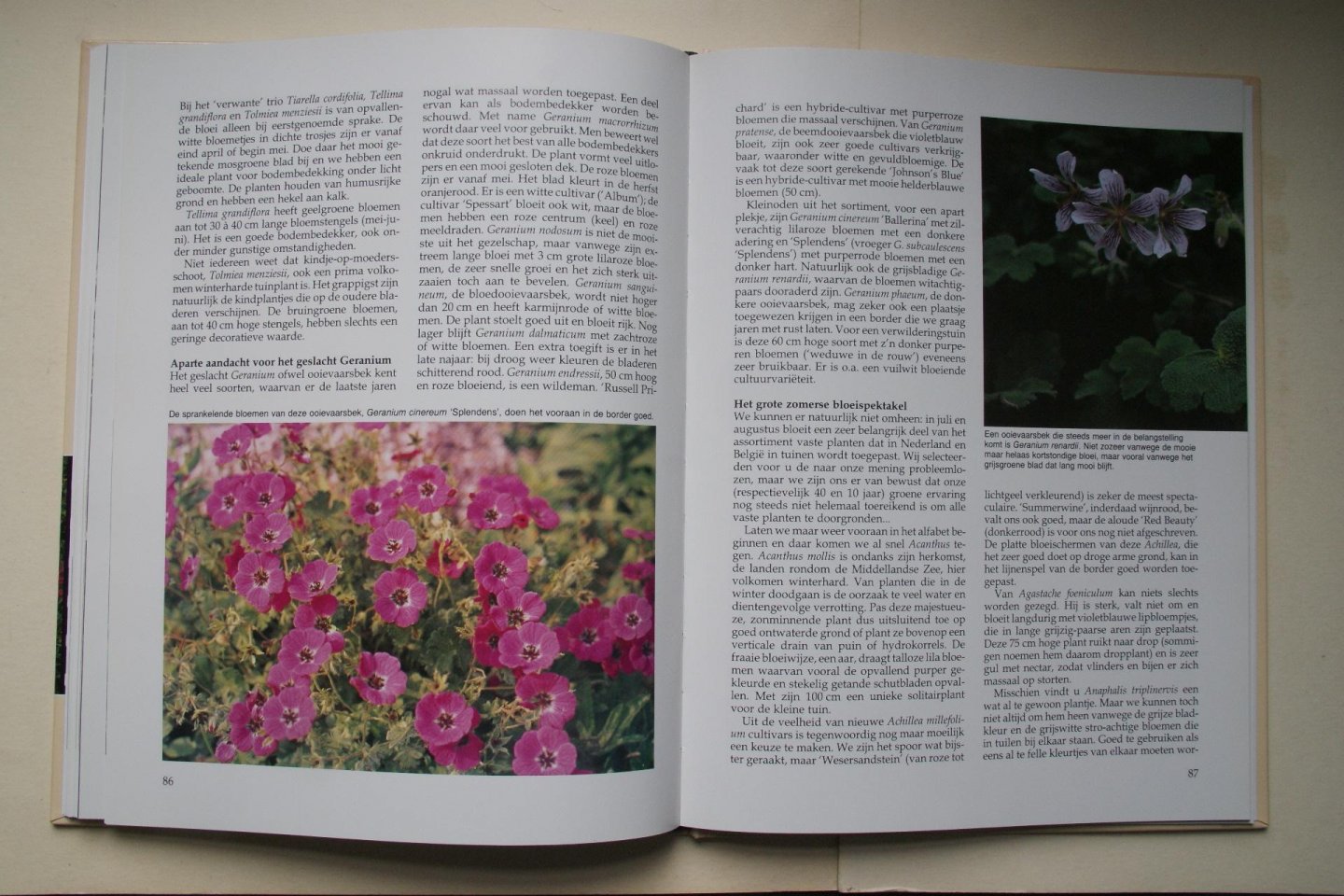 Horn, J. ten; W. Oudshoorn - De Onderhoudsvriendelijke Tuin ideeen voor ontwerp en beplanting