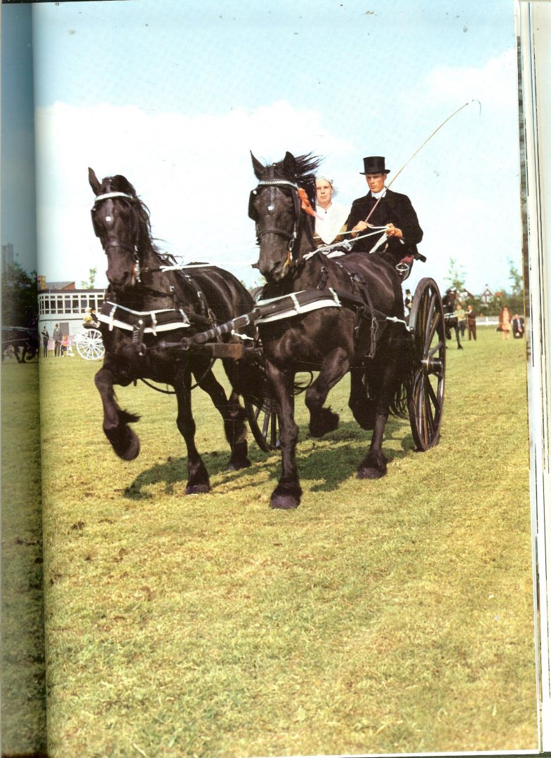 GROESBEEK HANS & HANNIE MENSING - DE WERELD VAN HET PAARD