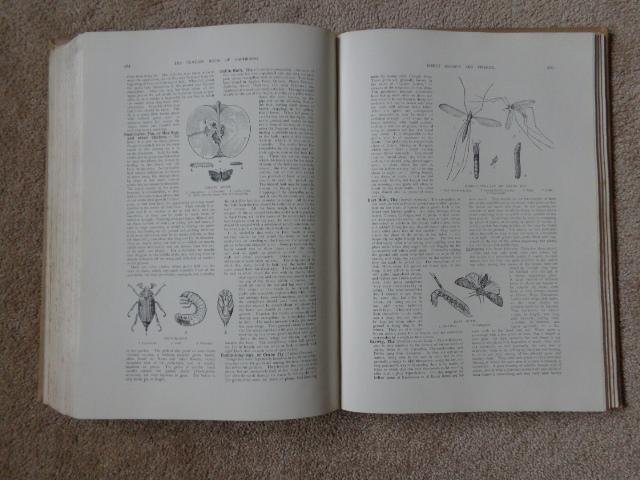 Cook, E.T. - The Century Book of Gardening, a comprehensive work for every lover of the garden