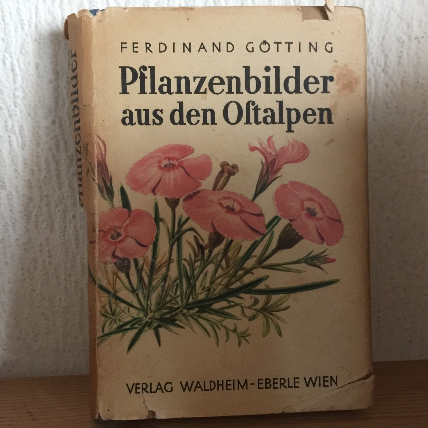 Ferdinand Götting - Pflanzenbilder aus den Ostalpen