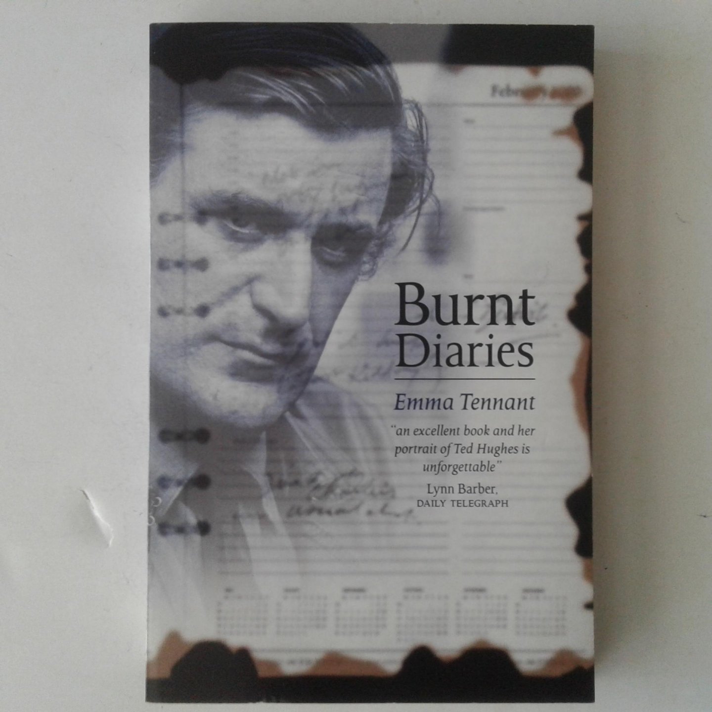 Tennant, Emma - Burnt Diares