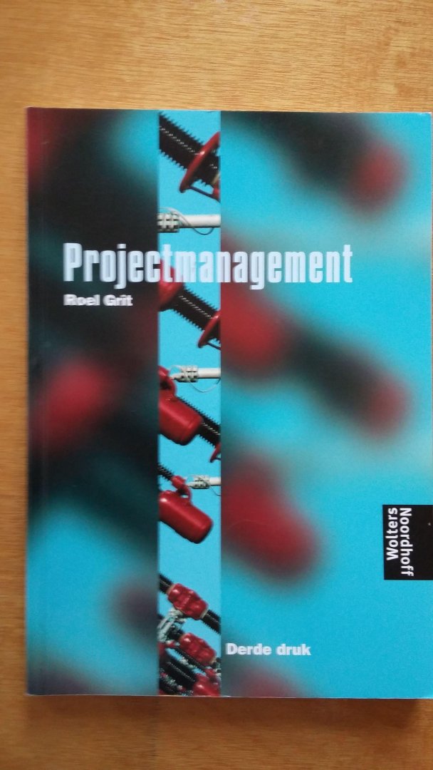 Grit, R. - Projectmanagement / projectmatig werken in de praktijk