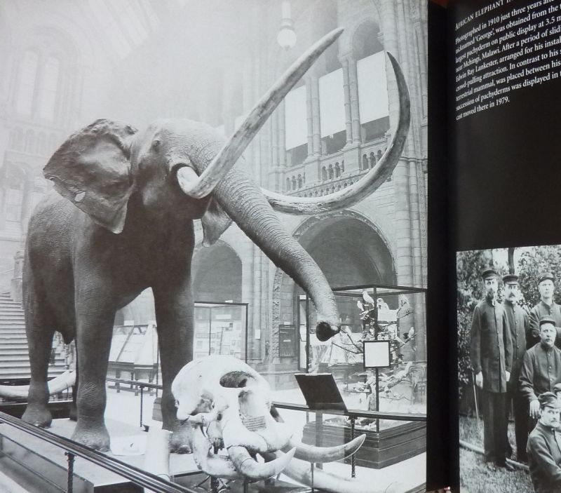 Snell, Susan / Tucker, Polly - Life Through a Lens. Photographs from the Natural History Museum 1880 to 1950