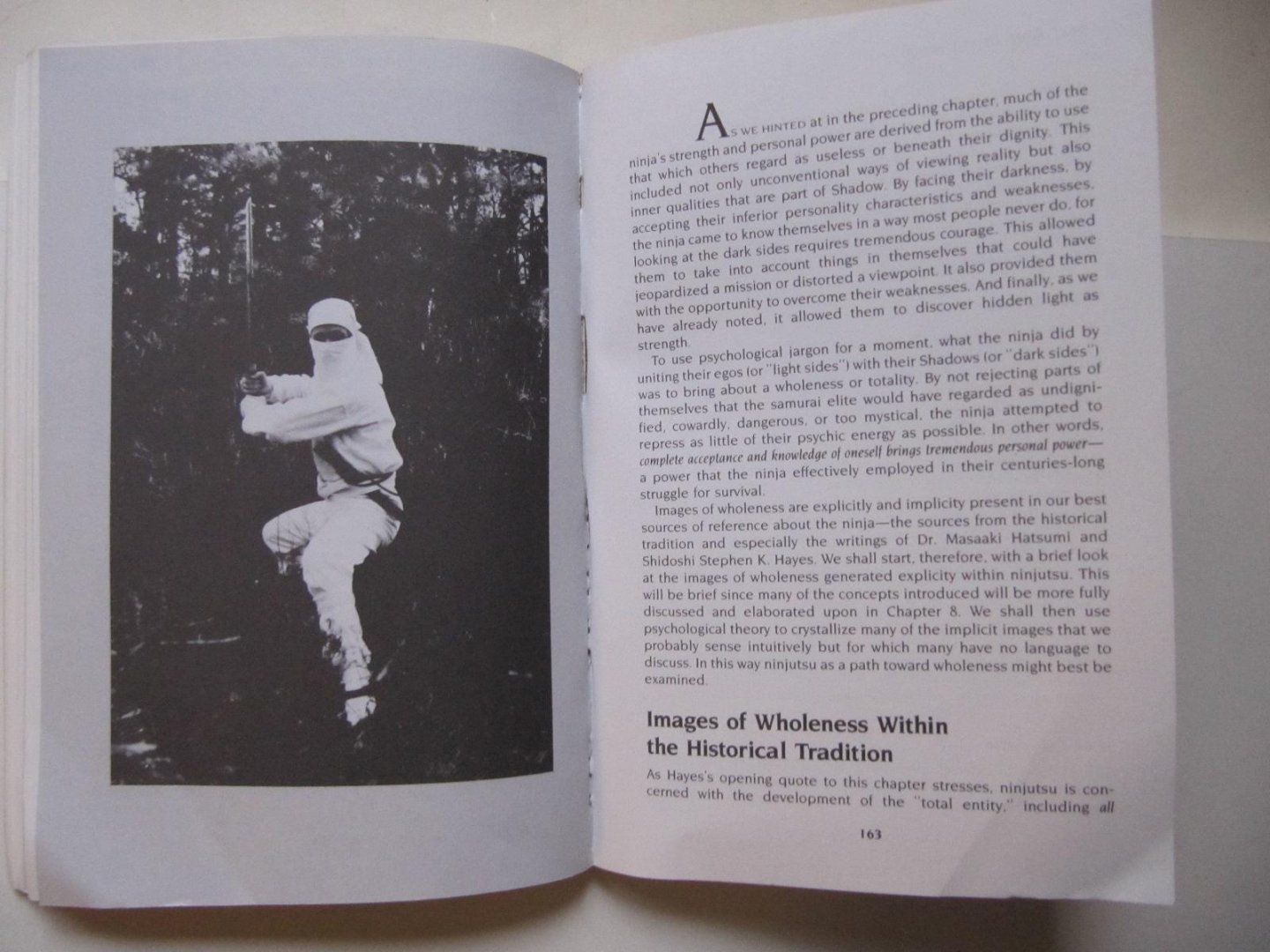 Kirtland C. Peterson - Mind of the Ninja