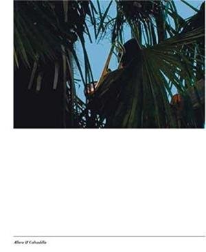 SM 2009:, JENNIFER ALLORA & GUILLERMO CALZADILLA. & RUF, BEATRIX [ED.]. - Allora & Calzadilla. Catalogue 889.