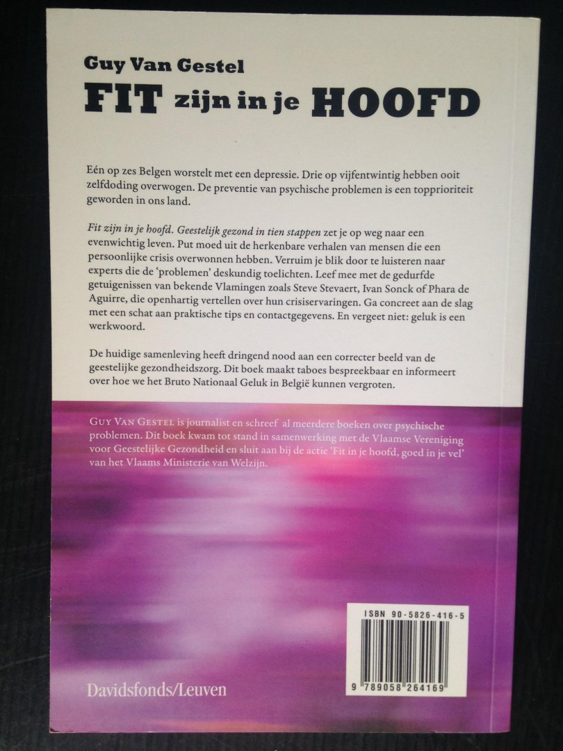 Gestel,  Guy Van - Fit zijn in je hoofd, Geestelijk gezond in 10 stappen