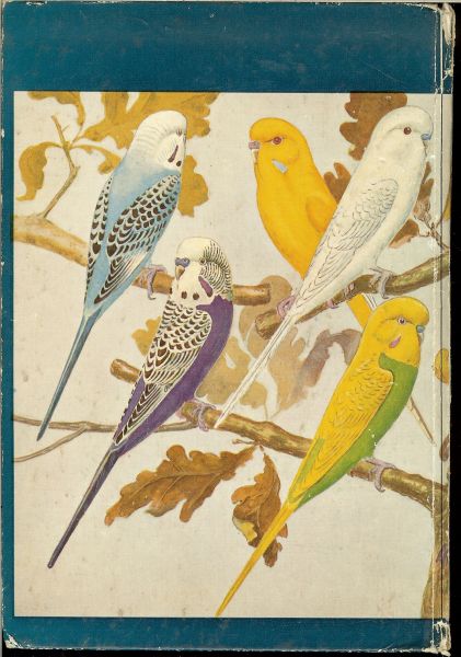 RUTGERS . A  .. met illustraties van A.K.VINK - Grasparkieten als huisgenoten