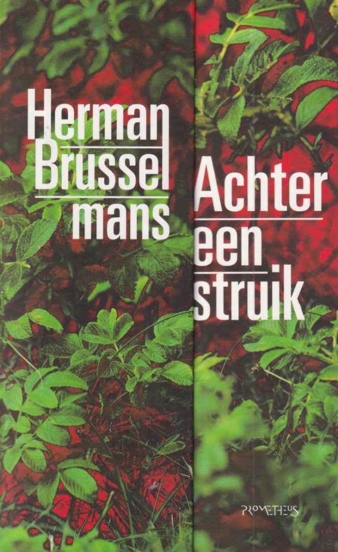 Brusselmans, Herman - Achter een struik