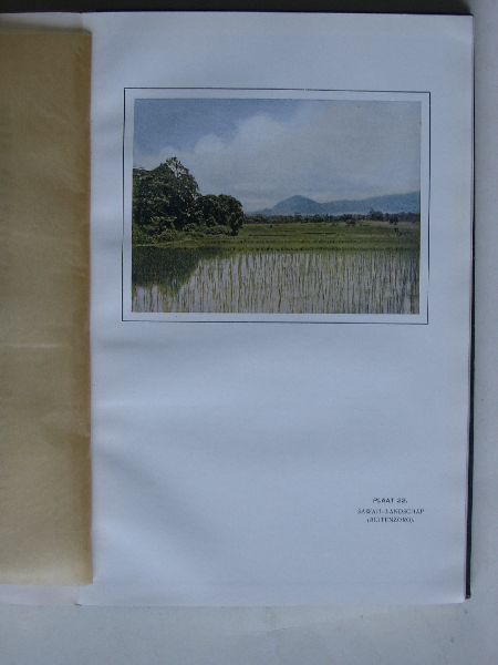 Blauw, Dr.A.H. - De Tropische Natuur in schetsen en kleuren