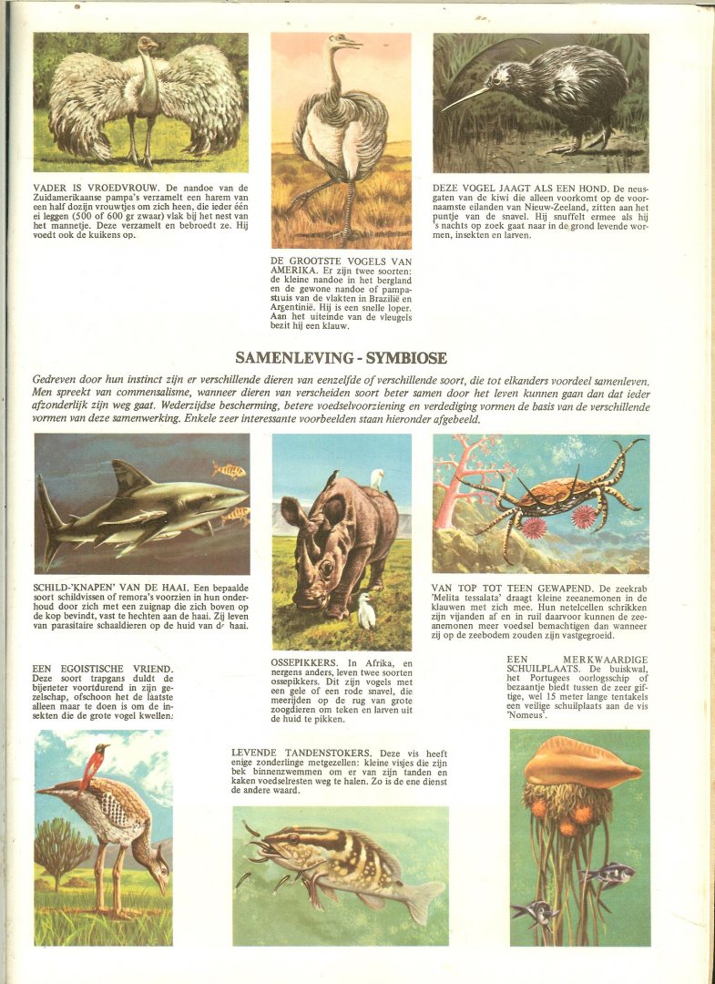 Connell  E.J. Inleiding   M. Sc. Lector  Harrogate College - De wonderlijke wereld der dieren