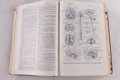 Agnew, L.R.C. e.a - Dorland's Illustrated Medical Dictionary 24th edition (3 foto's)