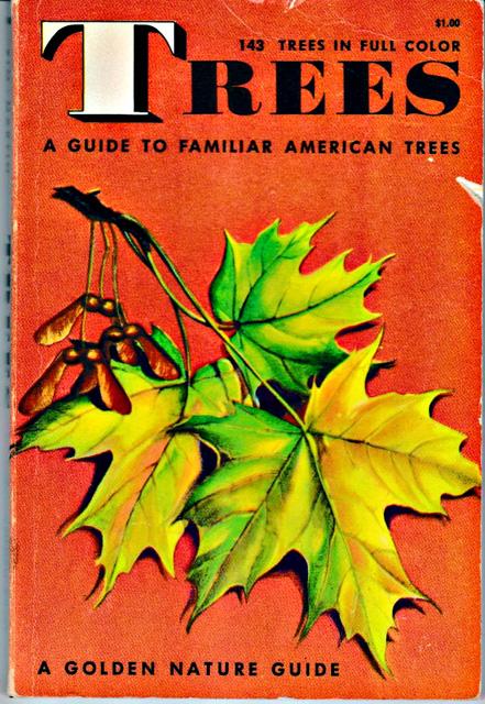 Zim, Herbert S. & Alexander C. Martin - Trees : A Guide to familiar American Trees