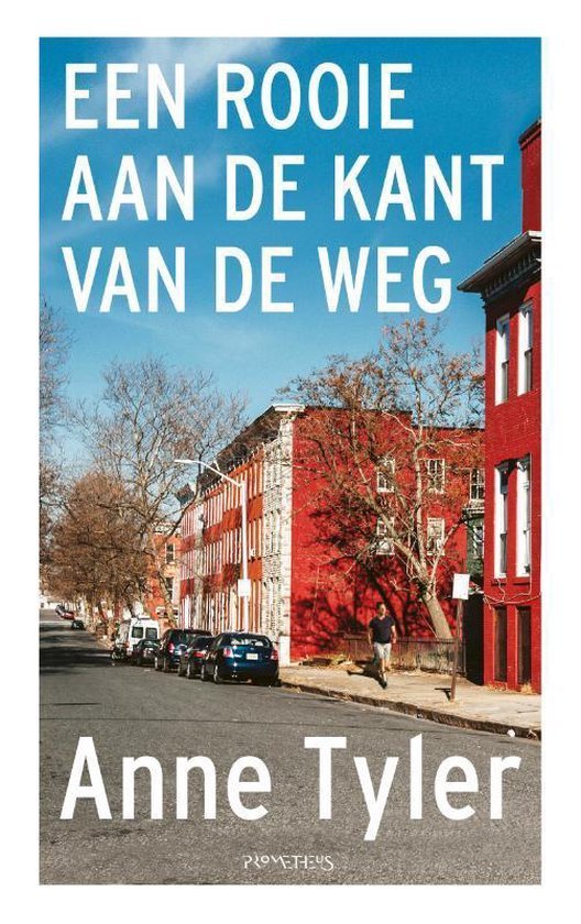 Tyler, Anne - Een rooie aan de kant van de weg