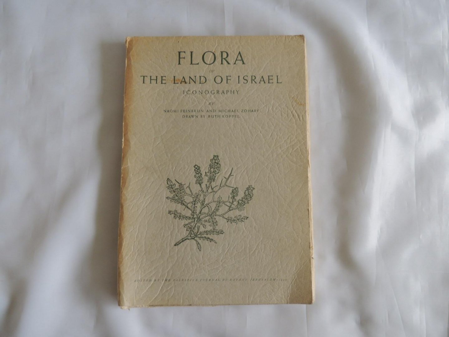 Naomi Zohary; Michael Zohary; Ruth Koppel - Hebrew University - Flora of the land of Israel - iconography - Plates 1 - 50 complete