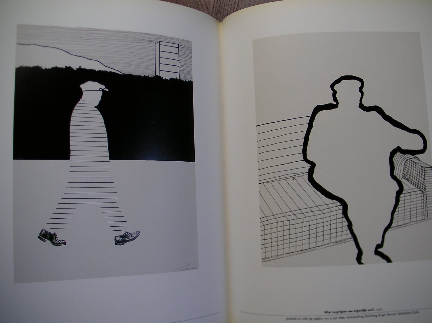 Hilde Pauwels - Roger Raveel monografiën over moderne kunst