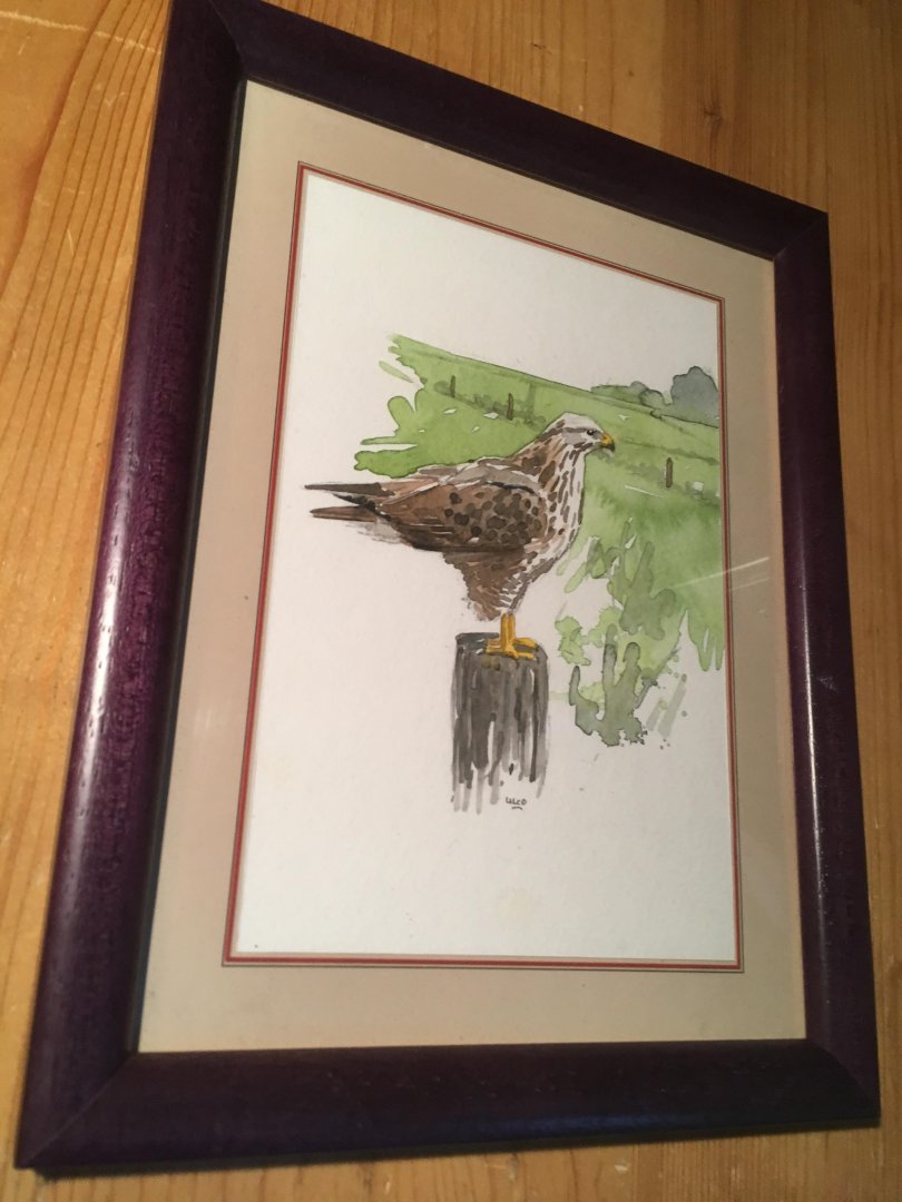 Glimmerveen, Ulco - kunstenaar - Buizerd - originele, gesigneerde aquarel van vogel op een paal in weidelandschap