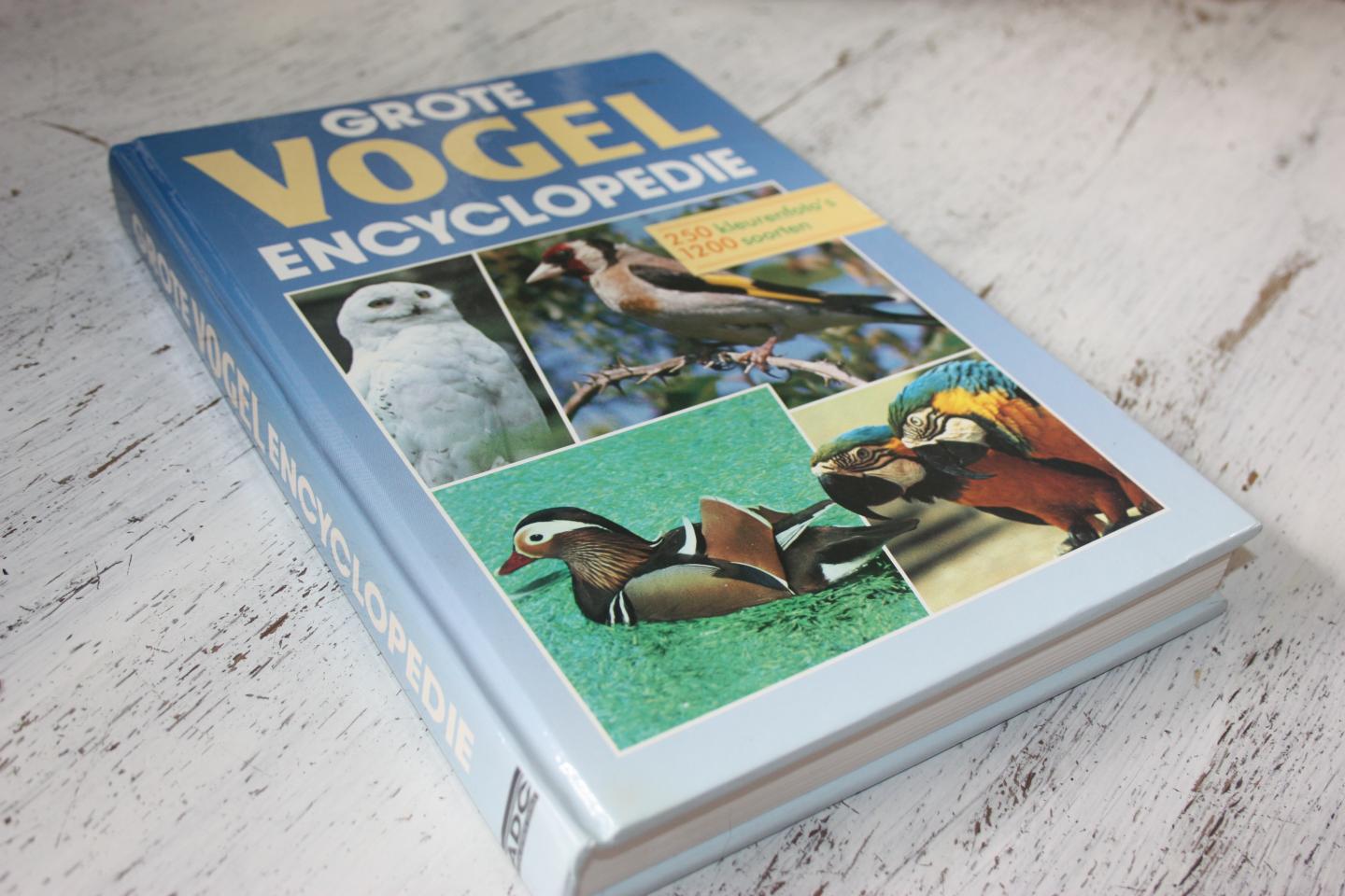 Briët, J; De Vocht, E; Hürrtege, G; van Gelder, J; van Nimwegen, J. - Grote vogelencyclopedie