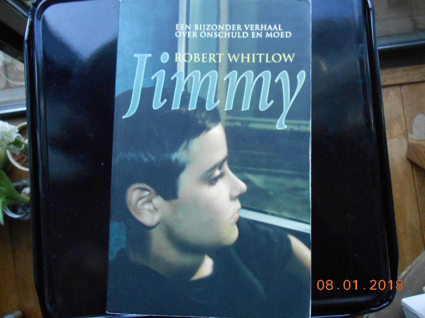 Whitlow, R. - Jimmy / een bijzonder verhaal over onschuld en moed