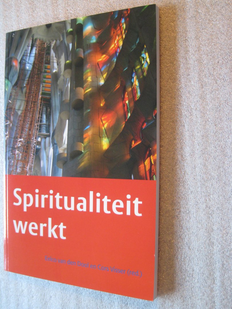 Dool, Eelco van den, e.a. - Spiritualiteit werkt