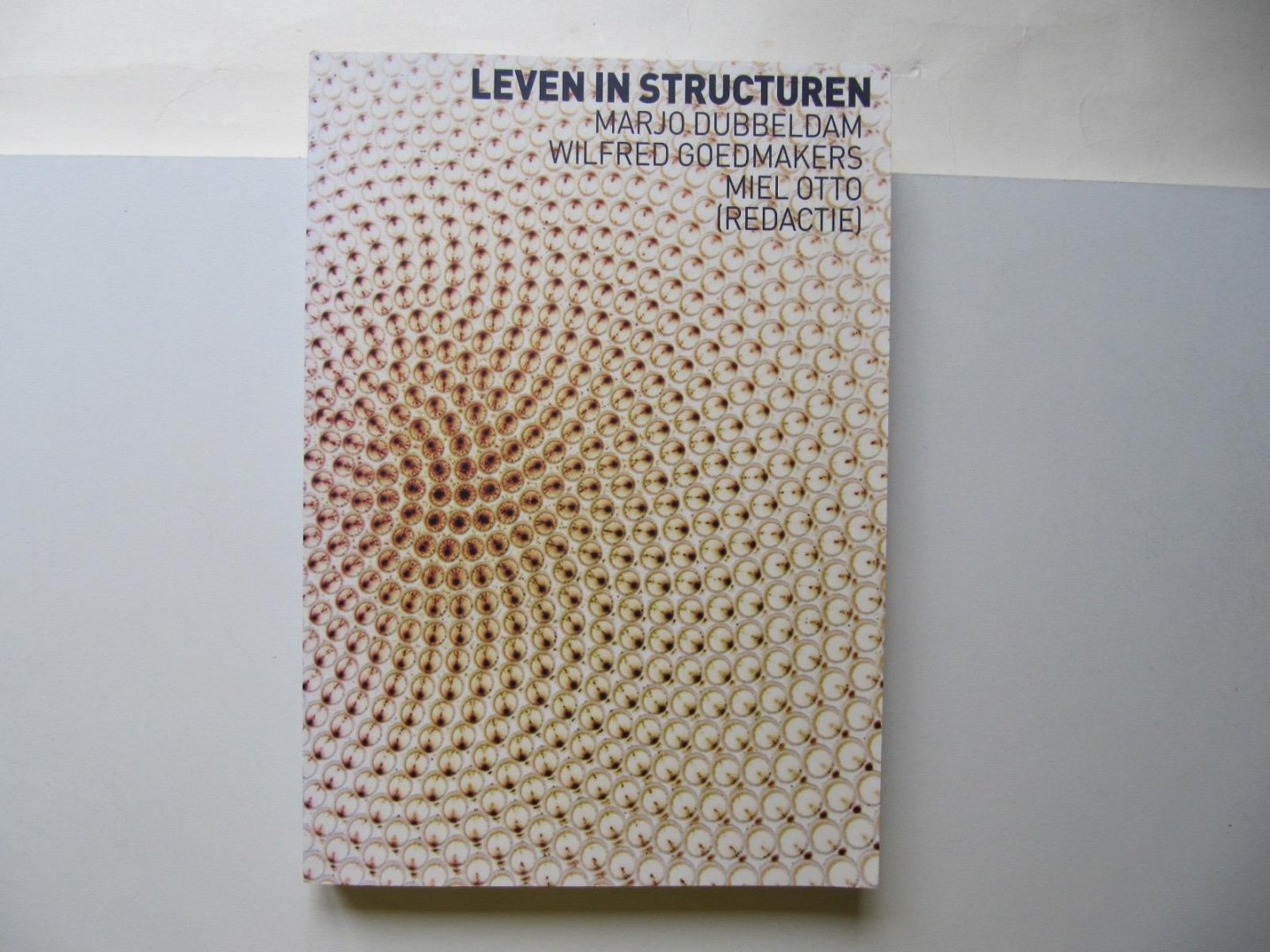 Dubbeldam, M. / Goedmakers, W. / Otto, M. - Leven in structuren