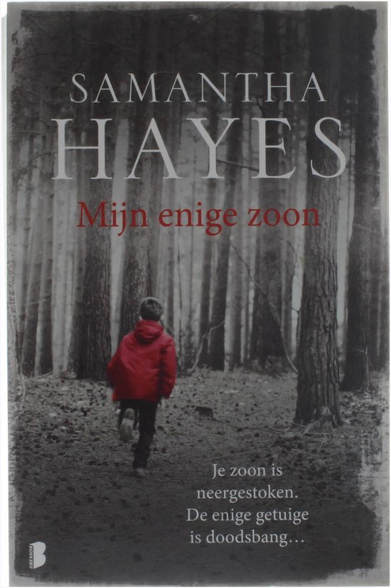 Hayes, Samantha - Mijn enige zoon
