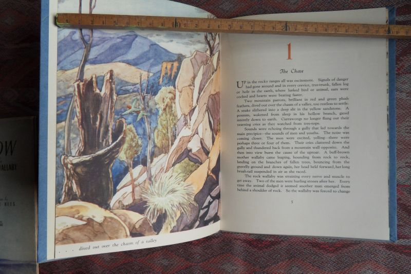 Rees, Leslie. - The Story of Shadow the Rock Wallaby.