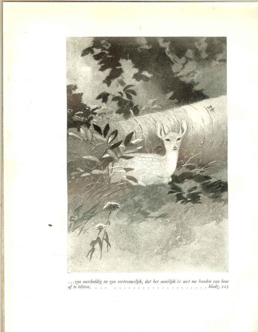 Long, W.J.  met toestemming van den schrijver William J. Long met Zwart - Wit  Fotos - Hoe de dieren spreken