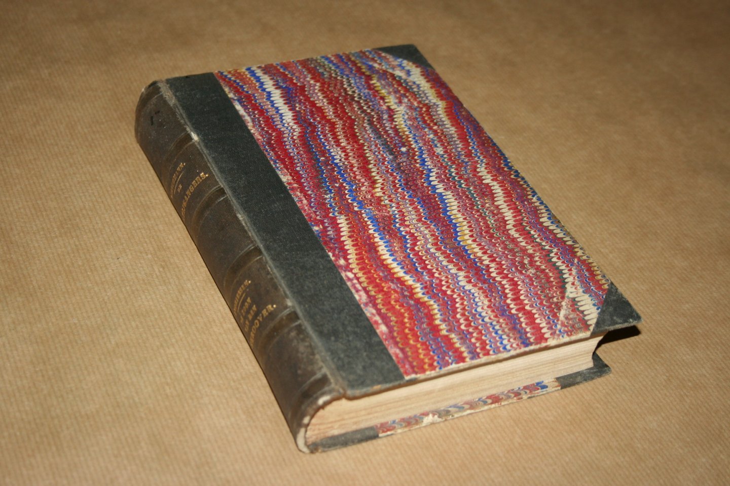 E.A. Staudenmeijer - De partijgangers --  Verhalen voor de jeugd