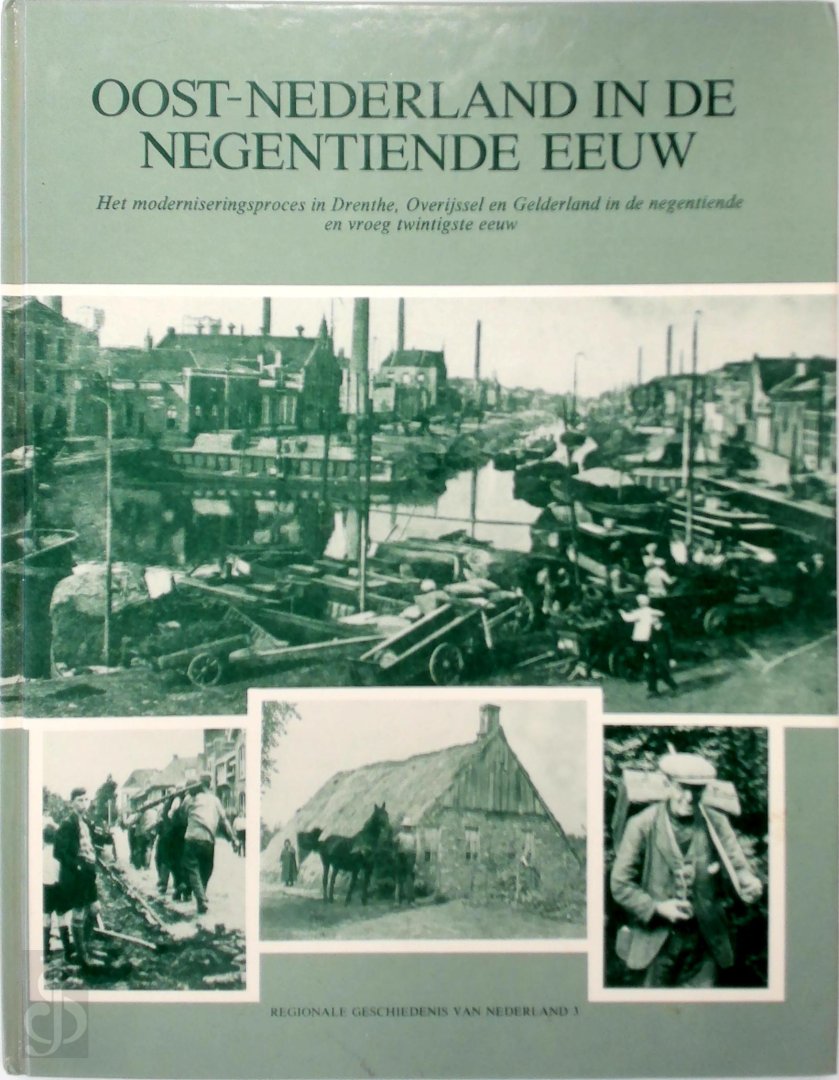 Wantje Fritschy, Leo Douw - Oost-Nederland in de negentiende eeuw